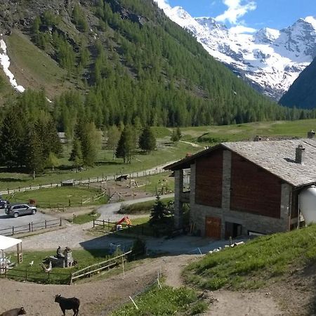 La Ferme Du Grand Paradis Cogne Exteriör bild
