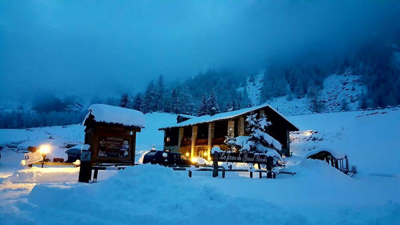 La Ferme Du Grand Paradis Cogne Exteriör bild